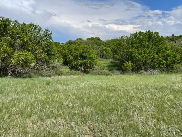 Tbd Beaubien Way Rye, CO 81069 - Photo 4 of 17