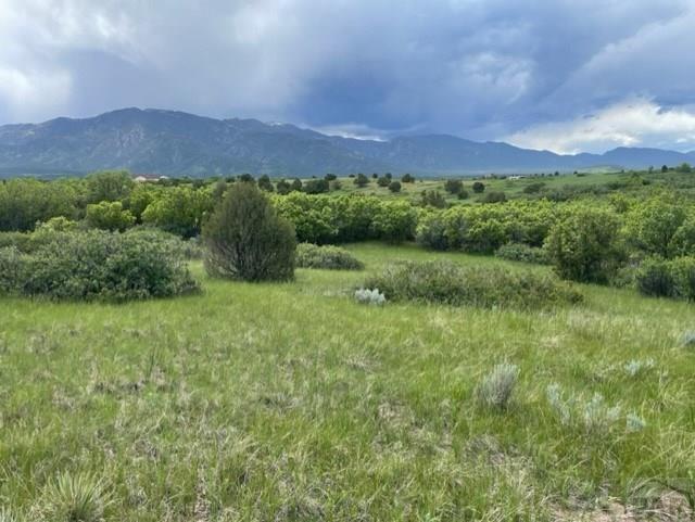 Tbd Beaubien Way Rye, CO 81069 - Photo 6 of 17