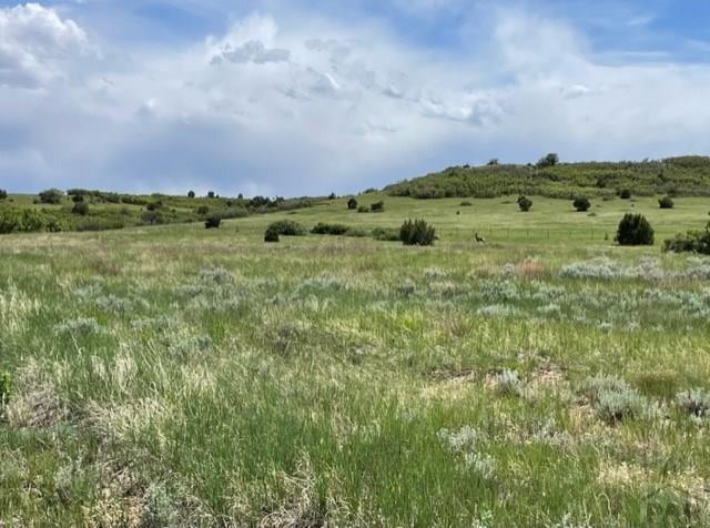 Tbd Beaubien Way Rye, CO 81069 - Photo 7 of 17