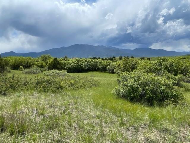 Tbd Beaubien Way Rye, CO 81069 - Photo 8 of 17