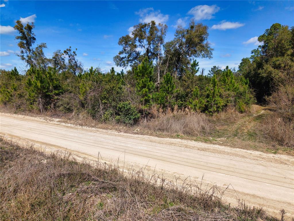 17 Southwest 80th Street Trenton, FL 32693 - Photo 11 of 13 a view of a yard with a tree