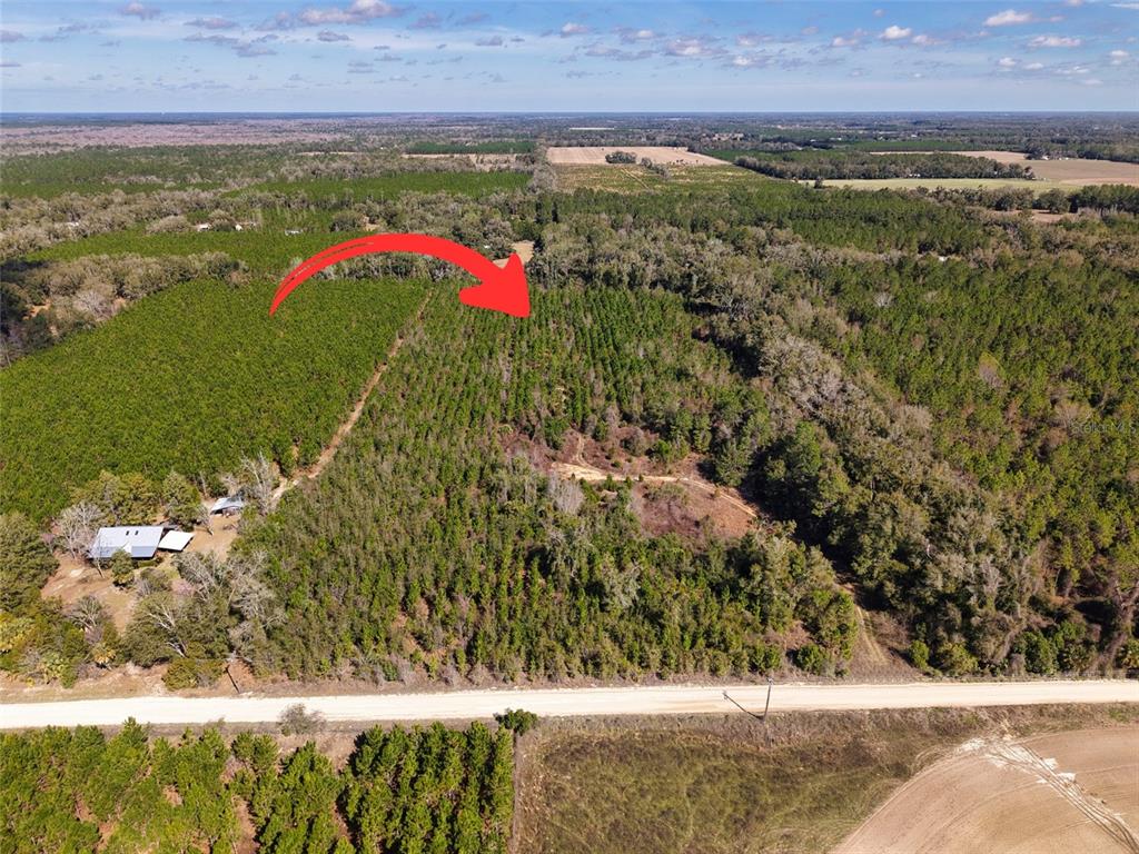 17 Southwest 80th Street Trenton, FL 32693 - Photo 13 of 13 a view of an outdoor space