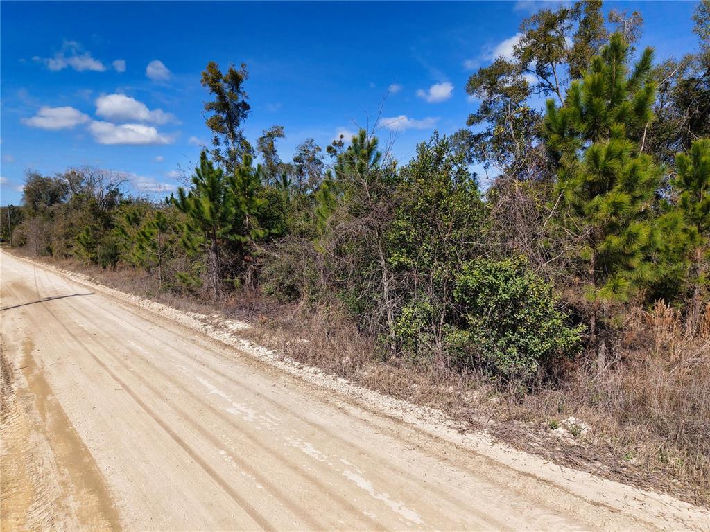 17 Southwest 80th Street Trenton, FL 32693 - Photo 10 of 13 a view of a houses with a yard