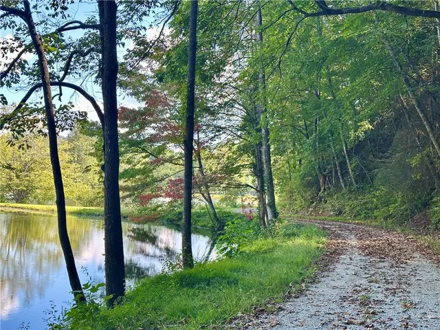 a view of a garden with an trees