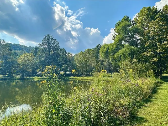 a park view with large trees