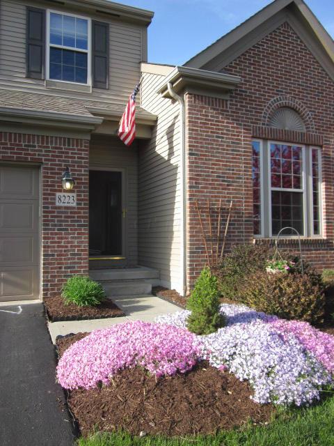 8223 Rodebaugh Road Reynoldsburg, OH 43068 - Photo 2 of 20 Gallery Image 2