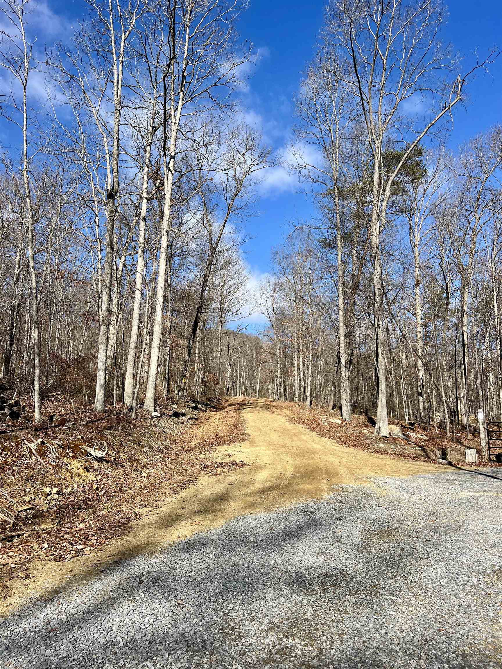 Tbd Miracle Springs Road Elkton, VA 22827 - Photo 1 of 8 Gallery Image 1