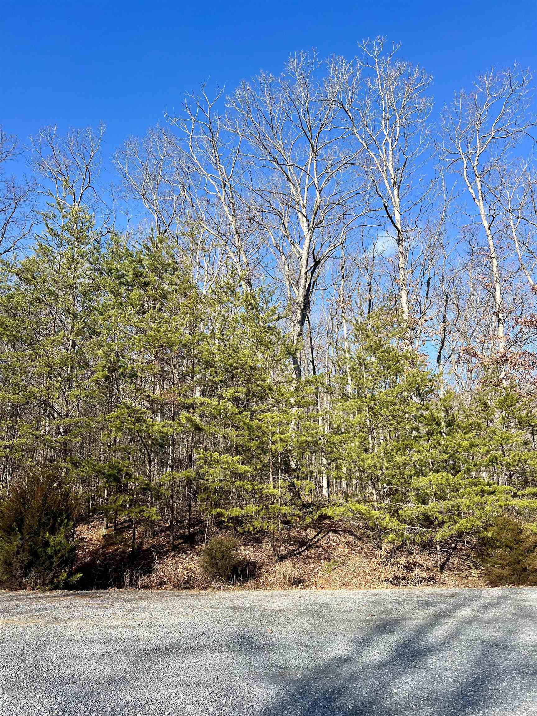 Tbd Miracle Springs Road Elkton, VA 22827 - Photo 2 of 8 Gallery Image 2