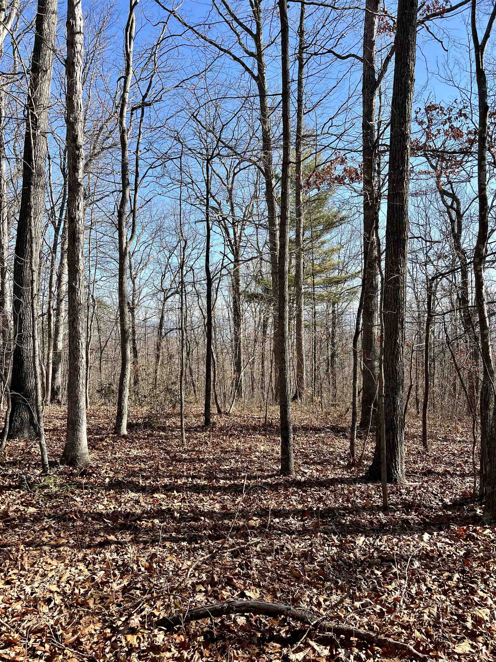 Tbd Miracle Springs Road Elkton, VA 22827 - Photo 3 of 8 Gallery Image 3