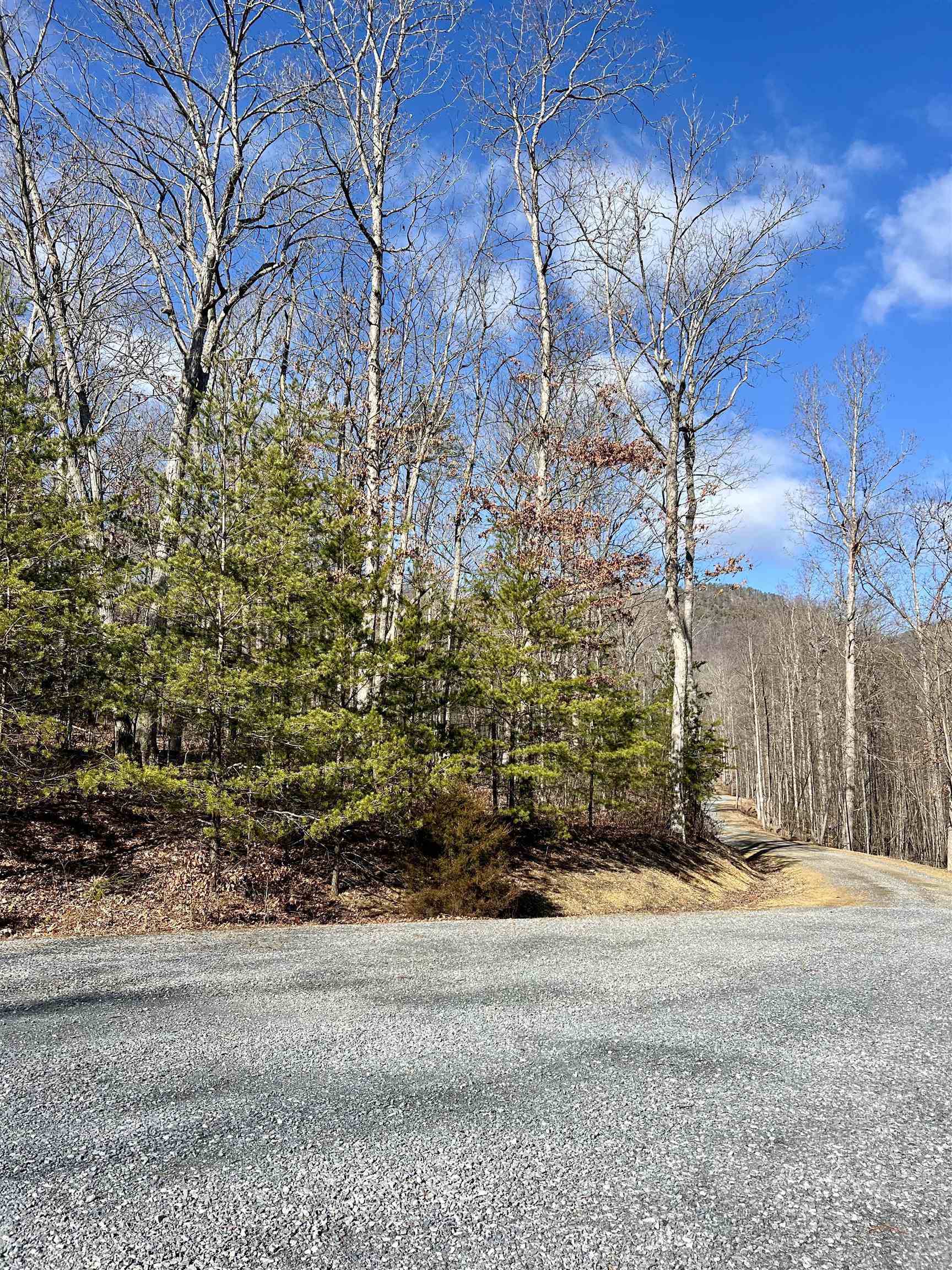 Tbd Miracle Springs Road Elkton, VA 22827 - Photo 4 of 8 Gallery Image 4