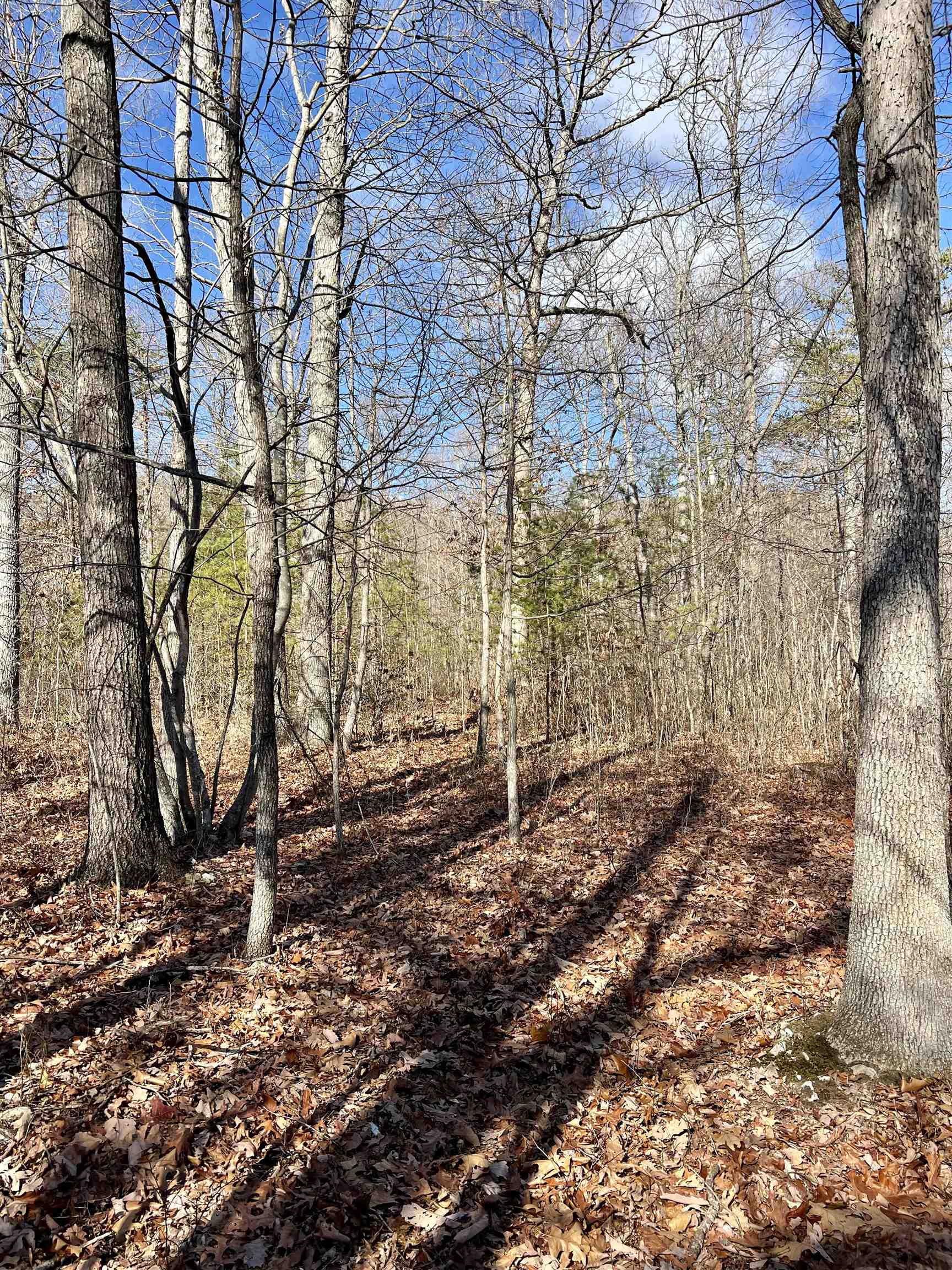 Tbd Miracle Springs Road Elkton, VA 22827 - Photo 6 of 8 Gallery Image 6