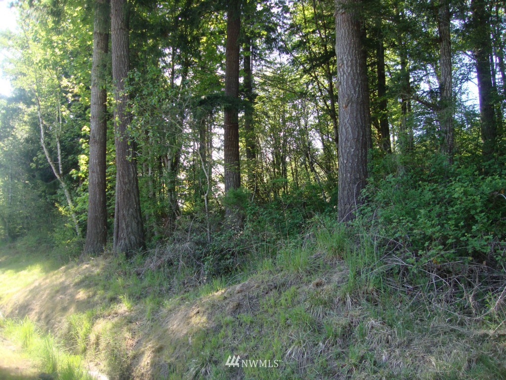 151 North Mahaffey Road Kelso, WA 98626 - Photo 13 of 15 Gallery Image 13