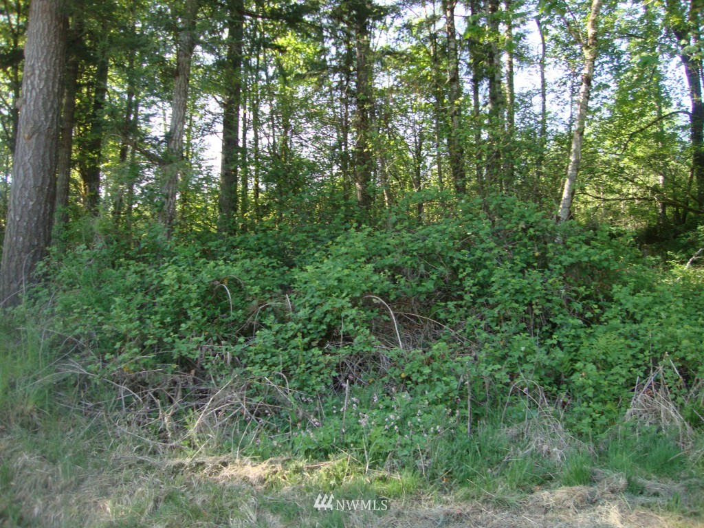 151 North Mahaffey Road Kelso, WA 98626 - Photo 14 of 15 Gallery Image 14