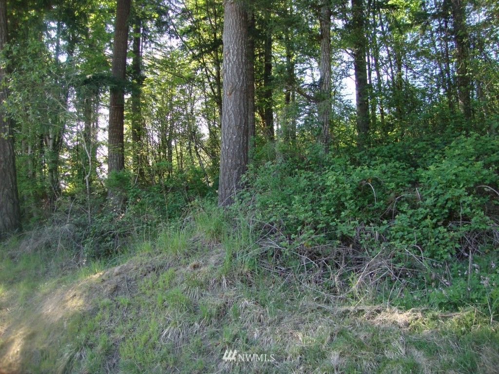 151 North Mahaffey Road Kelso, WA 98626 - Photo 15 of 15 Gallery Image 15