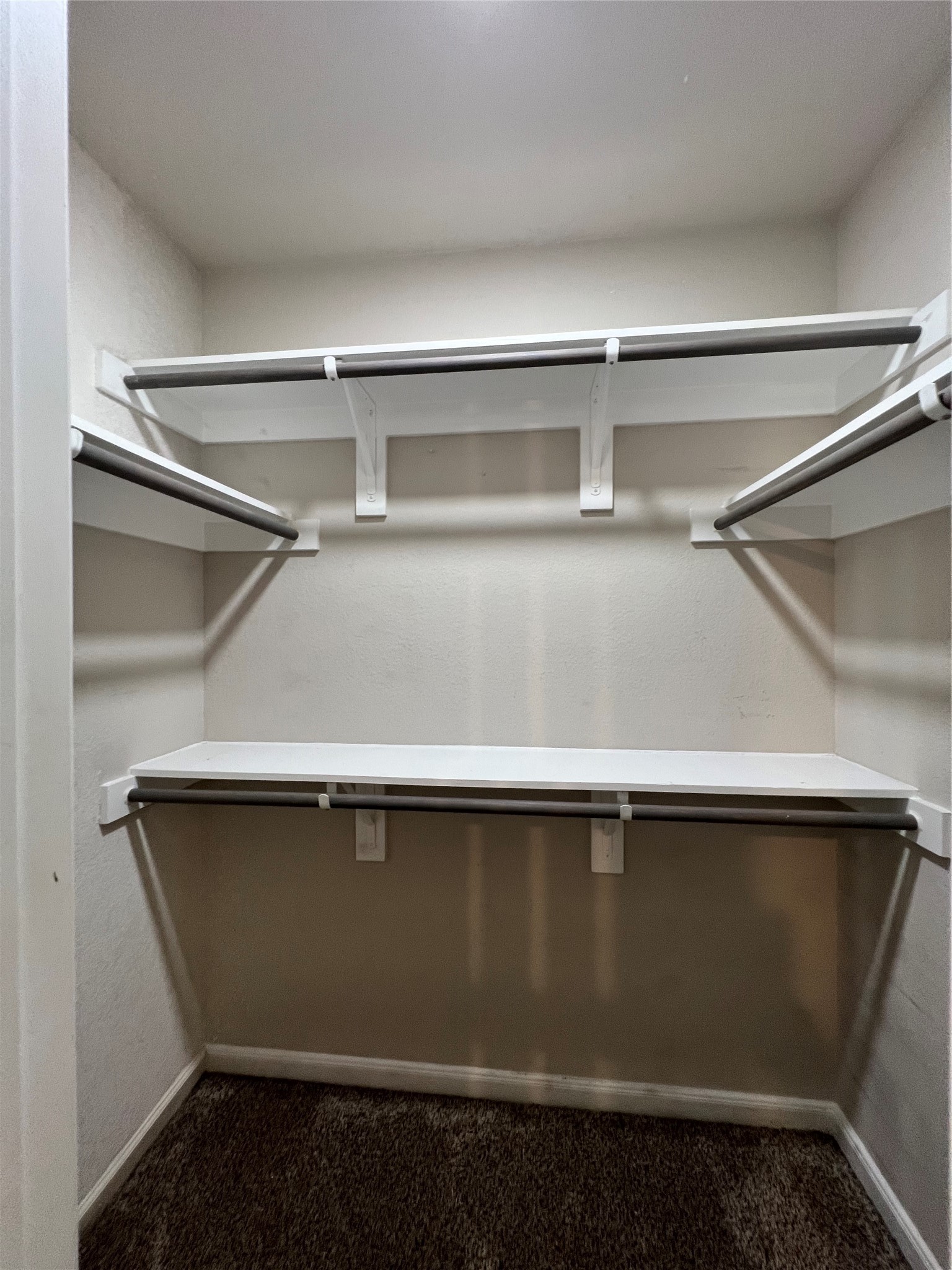 203 Acorn Tree Court Spring, TX 77388 - Photo 22 of 36 Primary closet