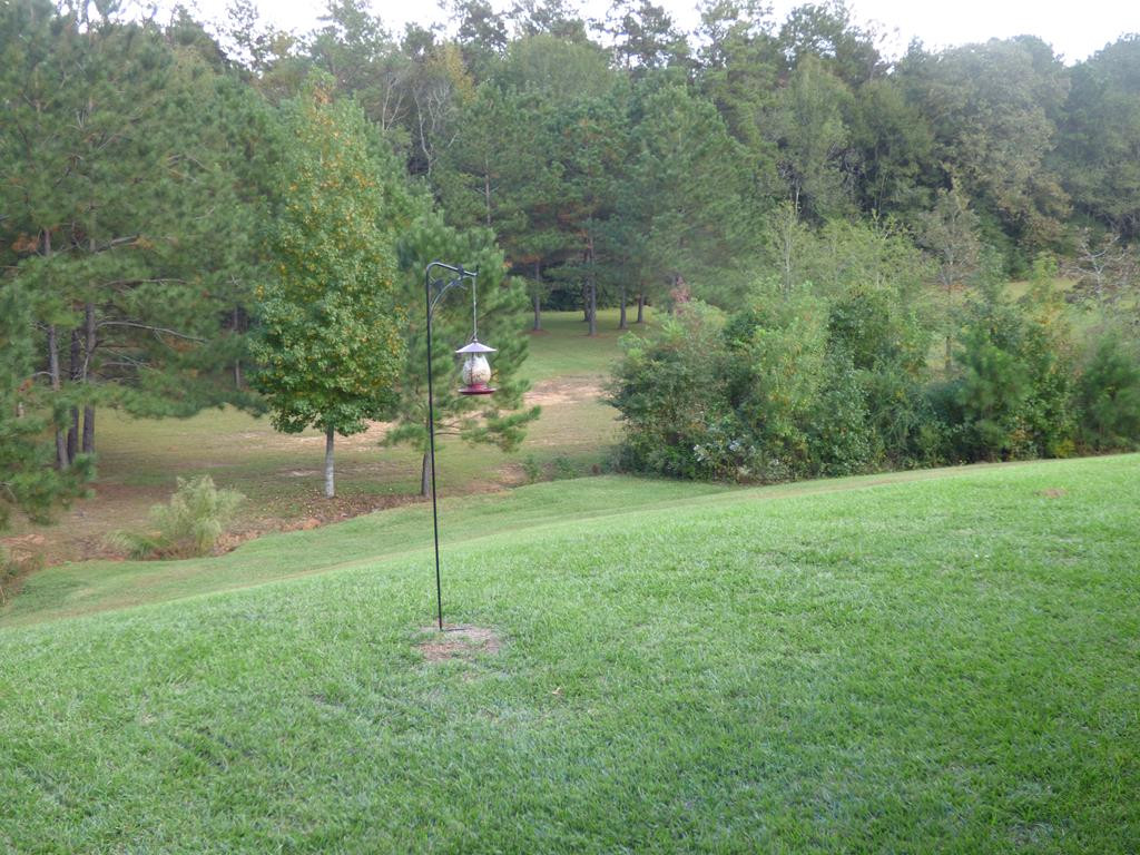 1089 Quail Ridge Drive McComb, MS 39648 - Photo 29 of 31 Photo 29