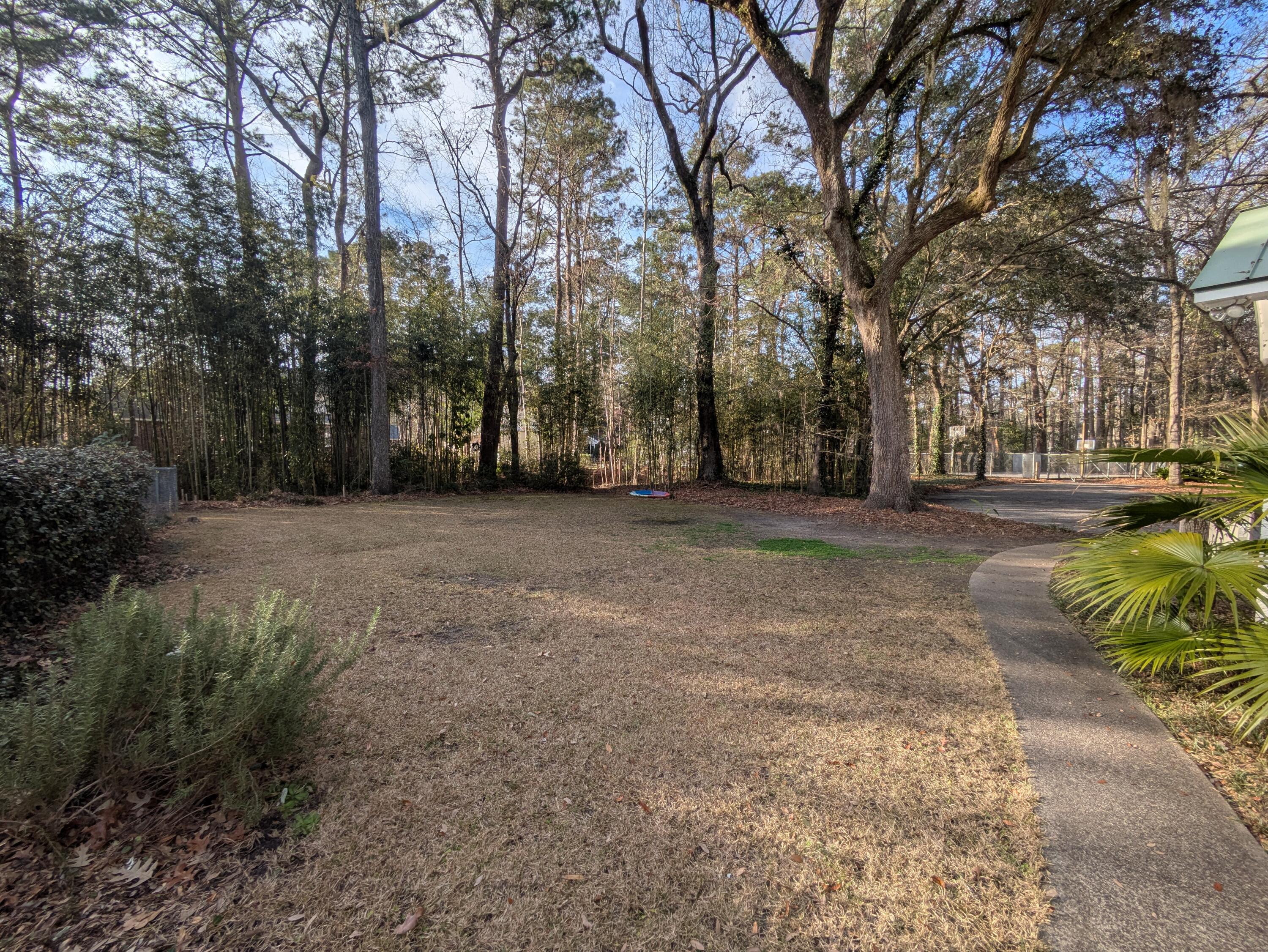 304 County Rd S-18-458 Summerville, SC 29485 - Photo 21 of 30 Back Yard
