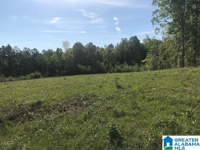 18 County Road, Unit 30 Goodwater, AL 35072 - Photo 2 of 13 Gallery Image 2