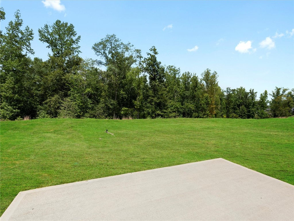 235 Merriweather Way Spartanburg, SC 29307 - Photo 21 of 25