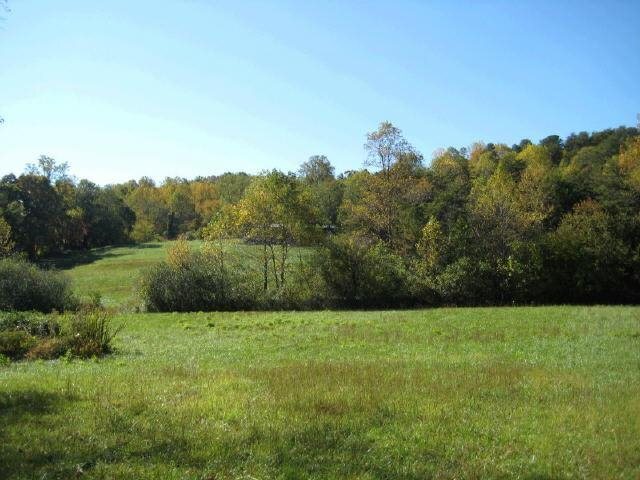 0 Polly Gap Road Clayton, GA 30525 - Photo 1 of 1 Gallery Image 1