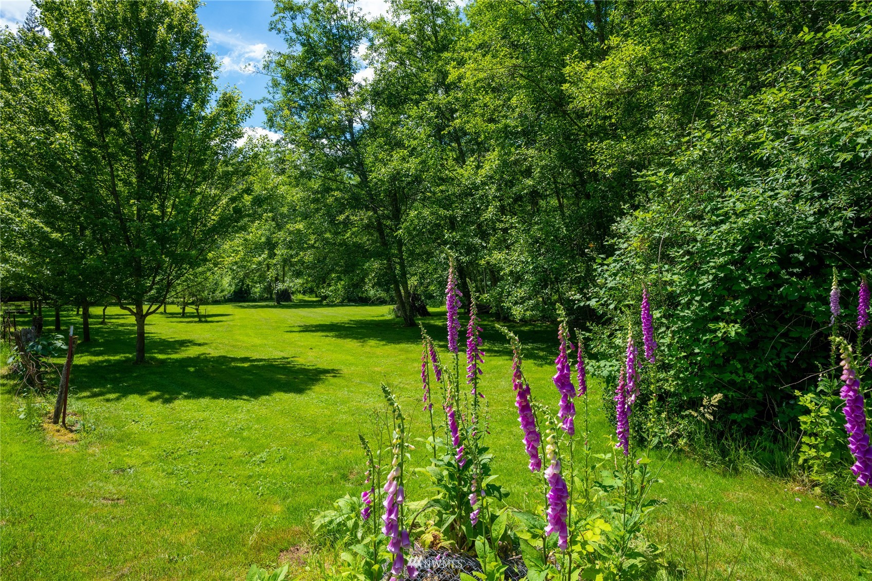 9509 North Cedarvale Loop Road Arlington, WA 98223 - Photo 33 of 39 Gallery Image 33