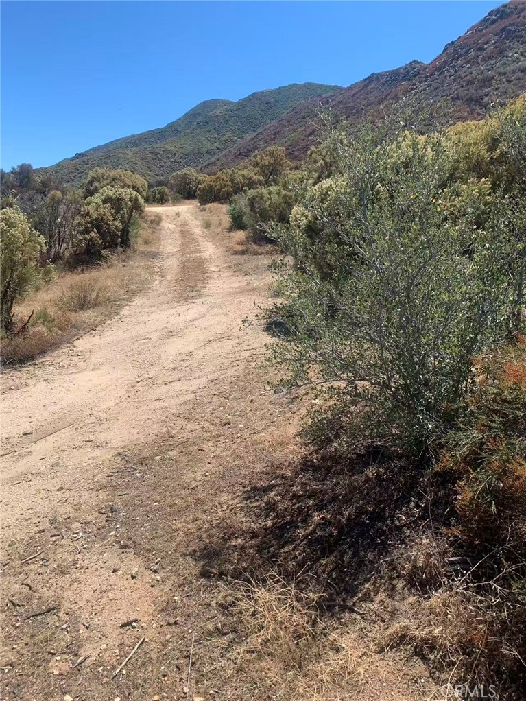 57775 Running Springs Road Anza, CA 92539 - Photo 6 of 13 a view of a dry yard with mountains in the background