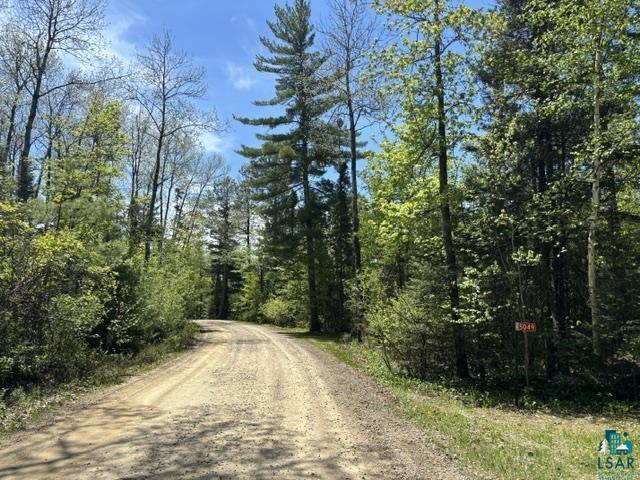 5049 Big Lake Road Ely, MN 55731 - Photo 13 of 14