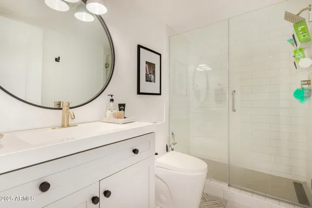 a bathroom with a sink a toilet and shower