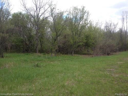 Parcel C North Lake George Road Attica, MI 48412 - Photo 10 of 14 pit inerior c.jpg
