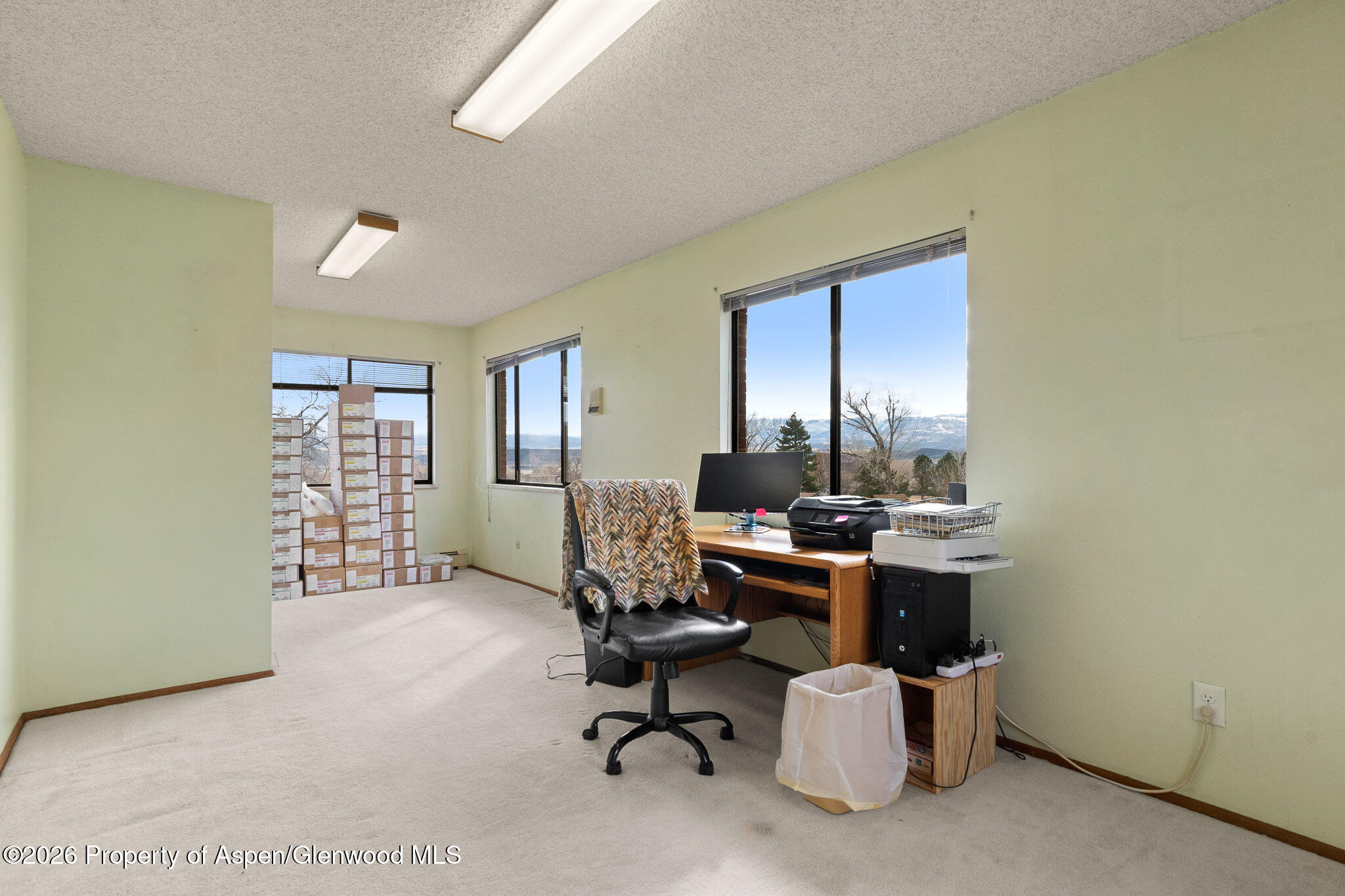 284 Panoramic Drive Silt, CO 81652 - Photo 19 of 44 Office