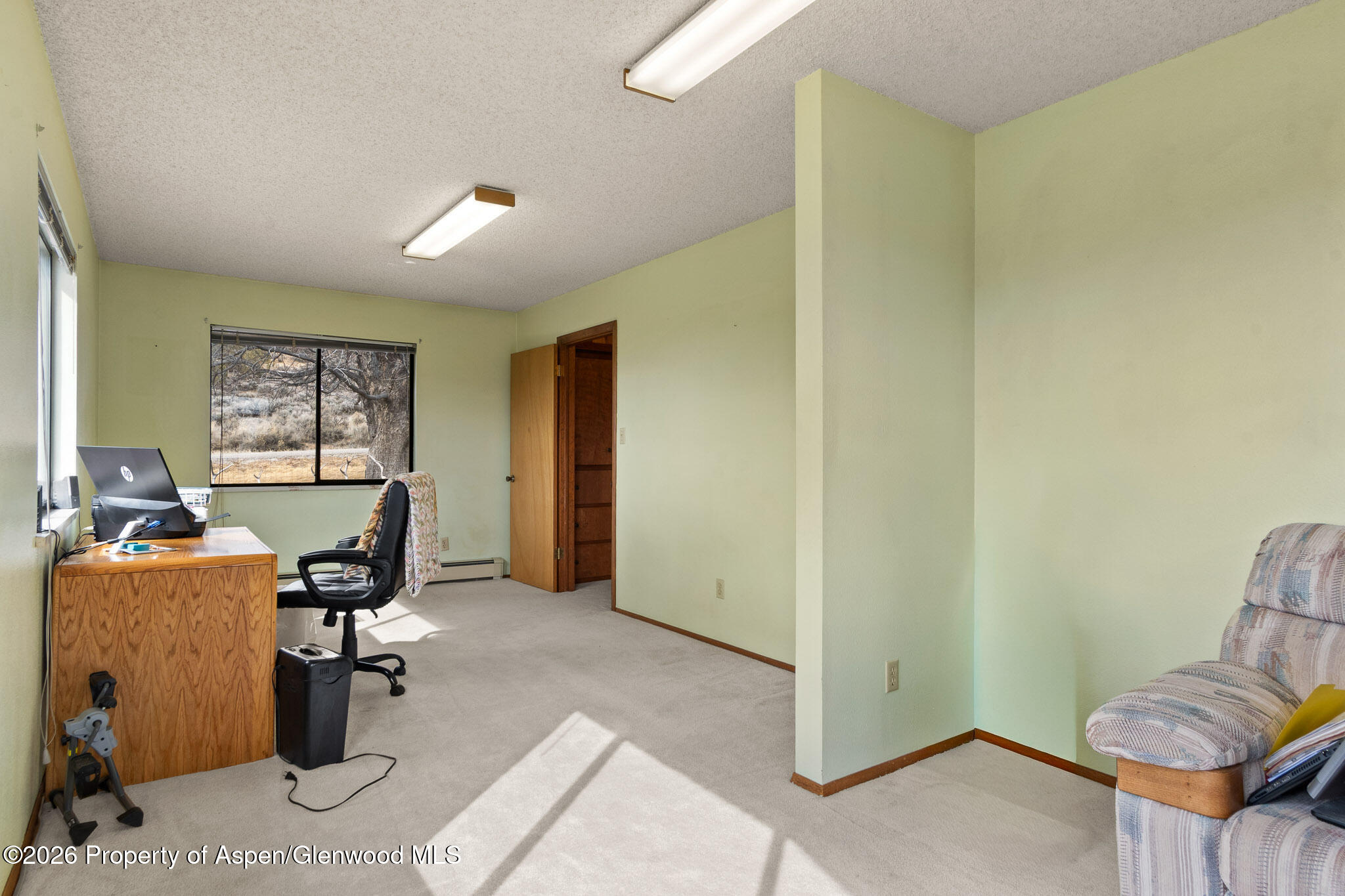 284 Panoramic Drive Silt, CO 81652 - Photo 20 of 44 MLS Online Version-16