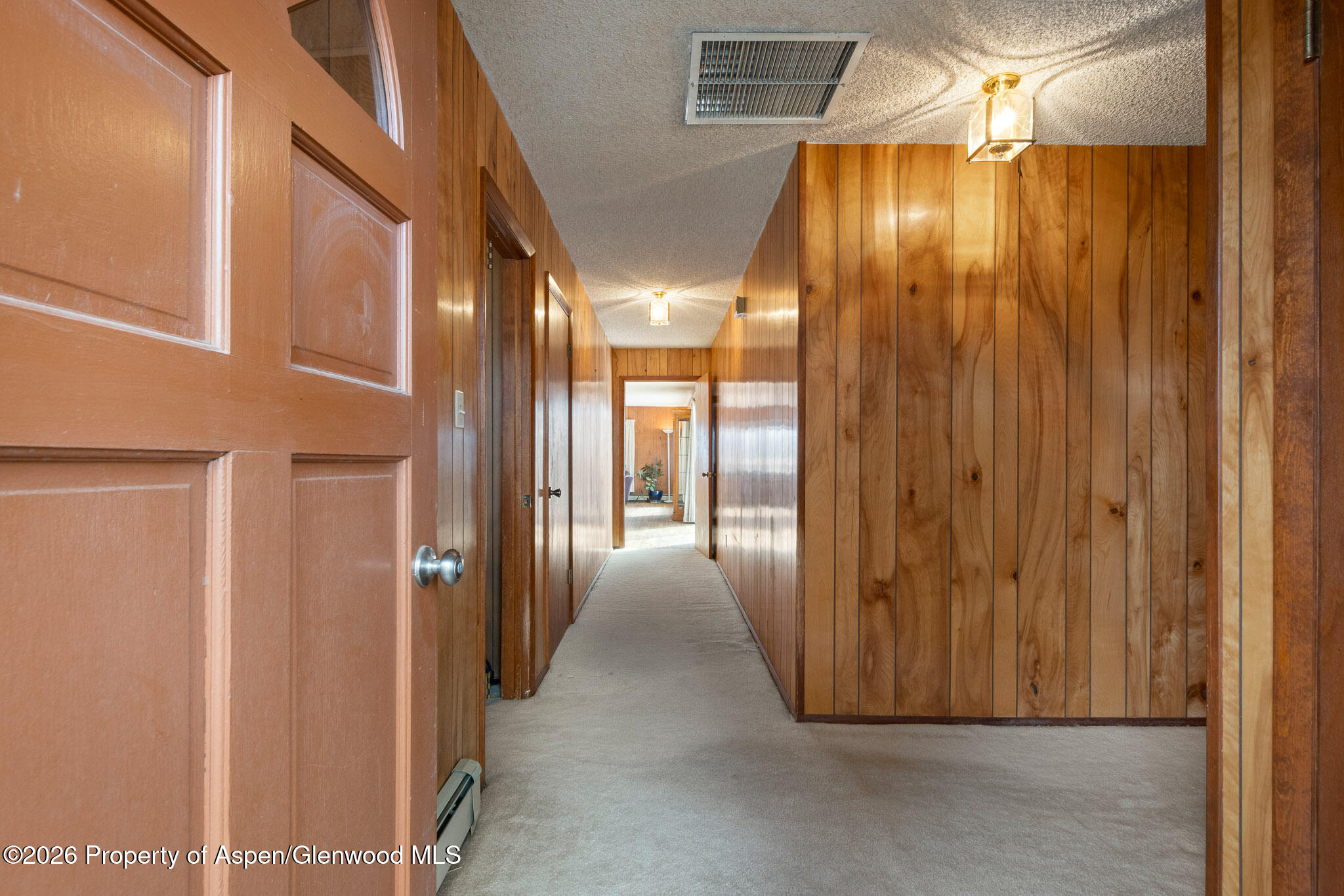 284 Panoramic Drive Silt, CO 81652 - Photo 5 of 44 MLS Online Version-31