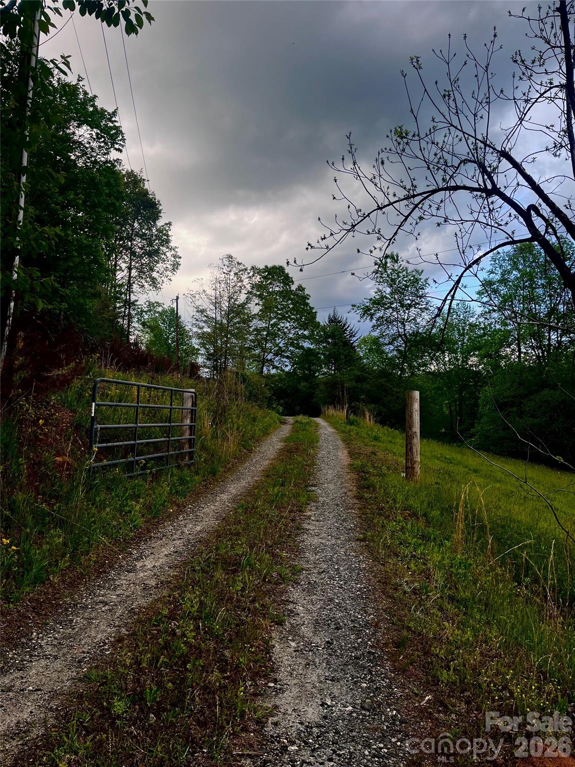 1239 Mcguinn Road Mill Spring, NC 28756 - Photo 28 of 48