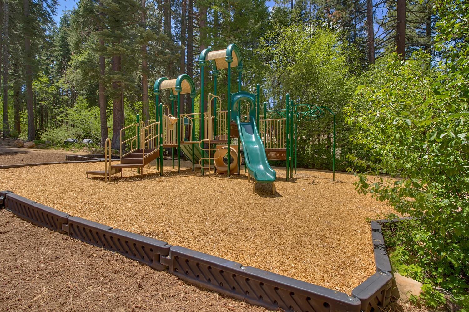 1809 Woods Point Way Northstar, CA 96161 - Photo 26 of 28 a view of a park with slides