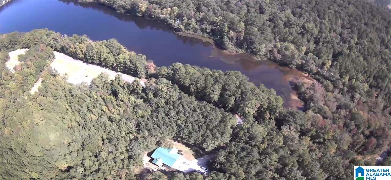2393 Sportsman Lake Road Odenville, AL 35120 - Photo 30 of 31