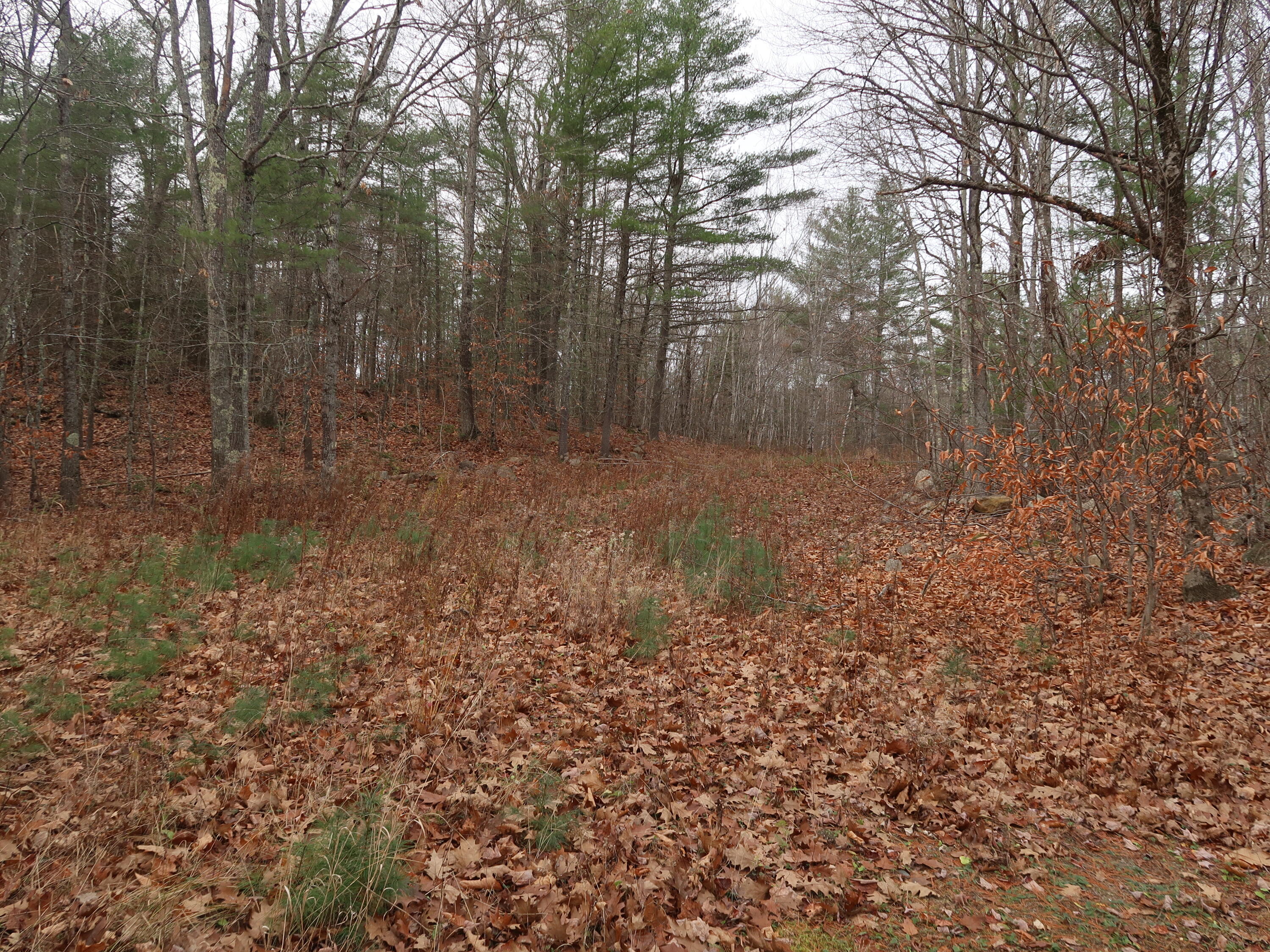 614 Windsor Road Augusta, ME 04330 - Photo 14 of 56 IMG_0245