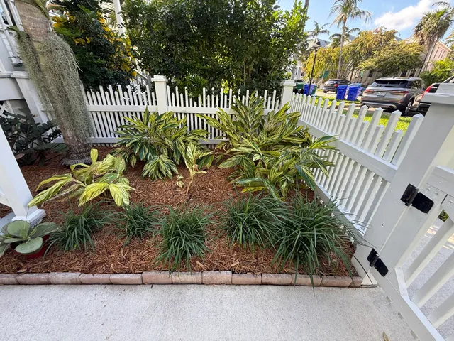 a view of outdoor space and yard