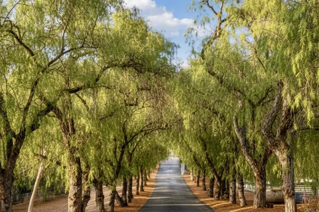 a kitchen with stainless steel appliances granite countertop a stove and cabinets