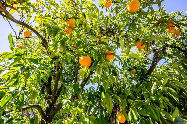 $1,469,999 | 145 Yucca Road, Fallbrook, CA 92028