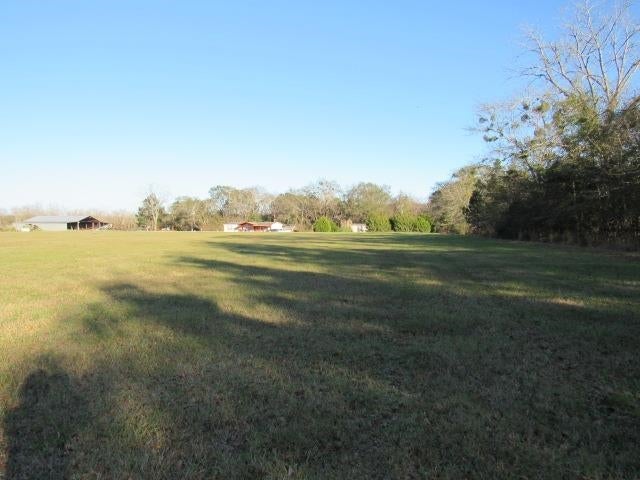 17-acres 17-acres Chance Road Florala, AL 36442 - Photo 6 of 11 Gallery Image 6