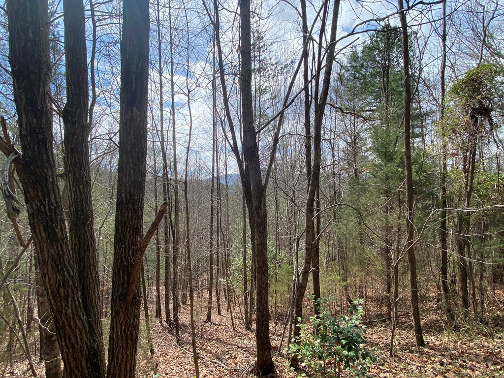 Lot 9 Turtle Ridge Trail Murphy, NC 28906 - Photo 9 of 10
