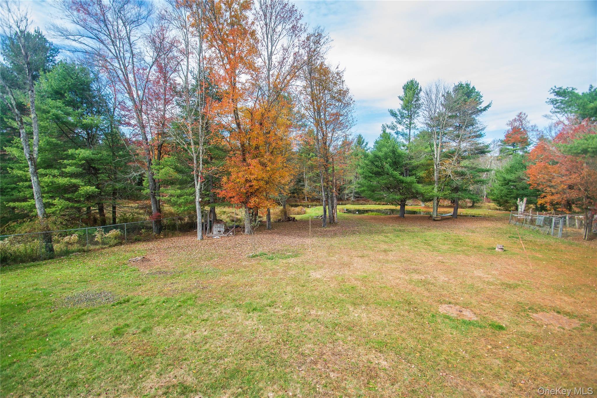 20 Valley Road Forestburgh, NY 12777 - Photo 32 of 38 View of yard