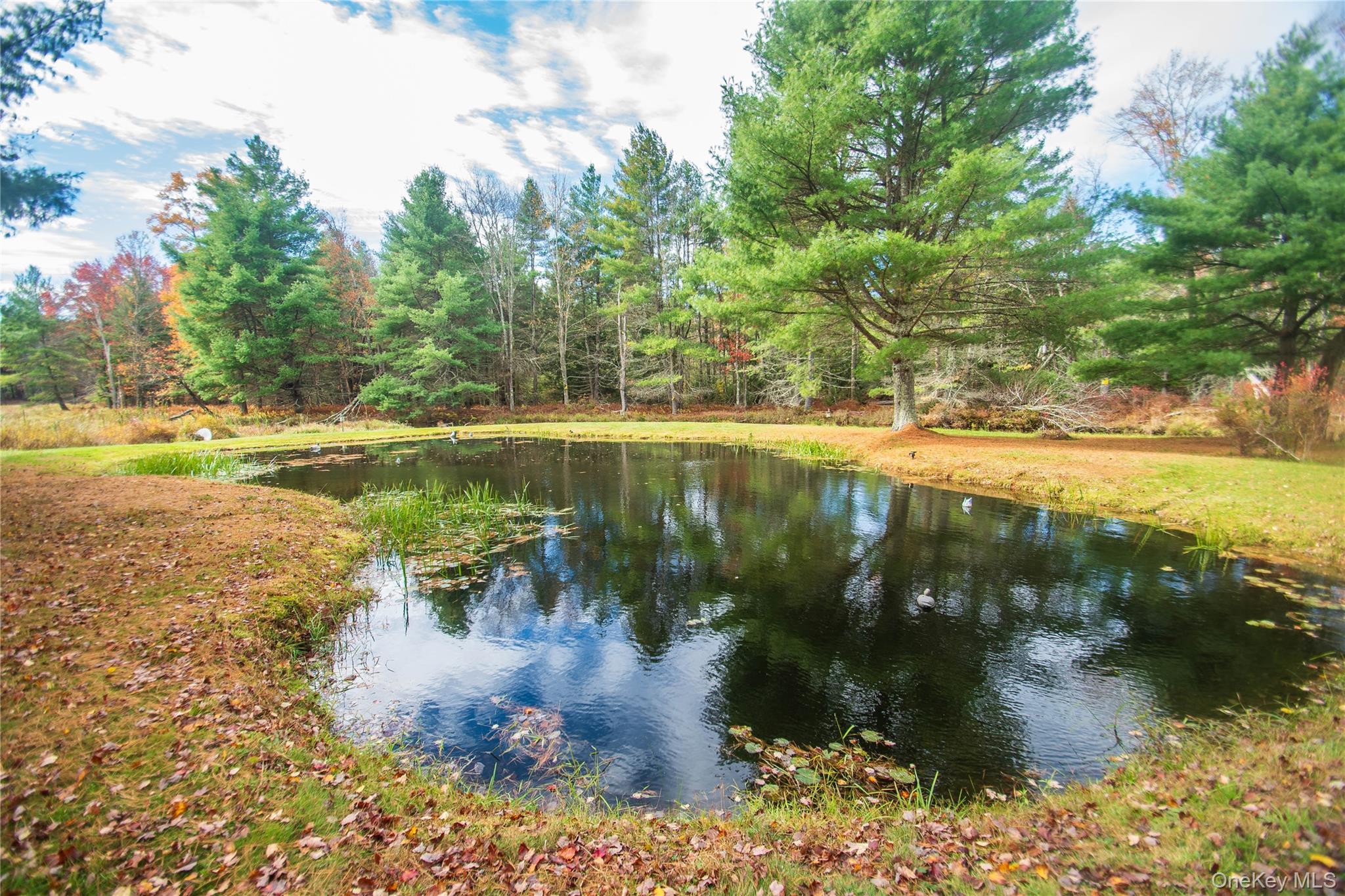 20 Valley Road Forestburgh, NY 12777 - Photo 37 of 38 Water view