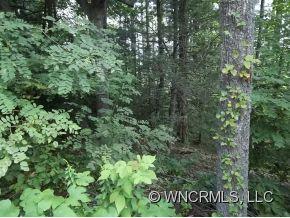 5-7 Corn Mtn Road Hendersonville, NC 28792 - Photo 6 of 18