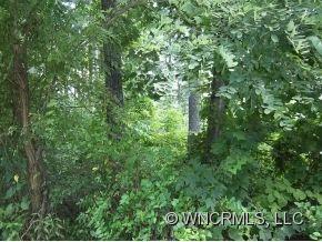 5-7 Corn Mtn Road Hendersonville, NC 28792 - Photo 7 of 18