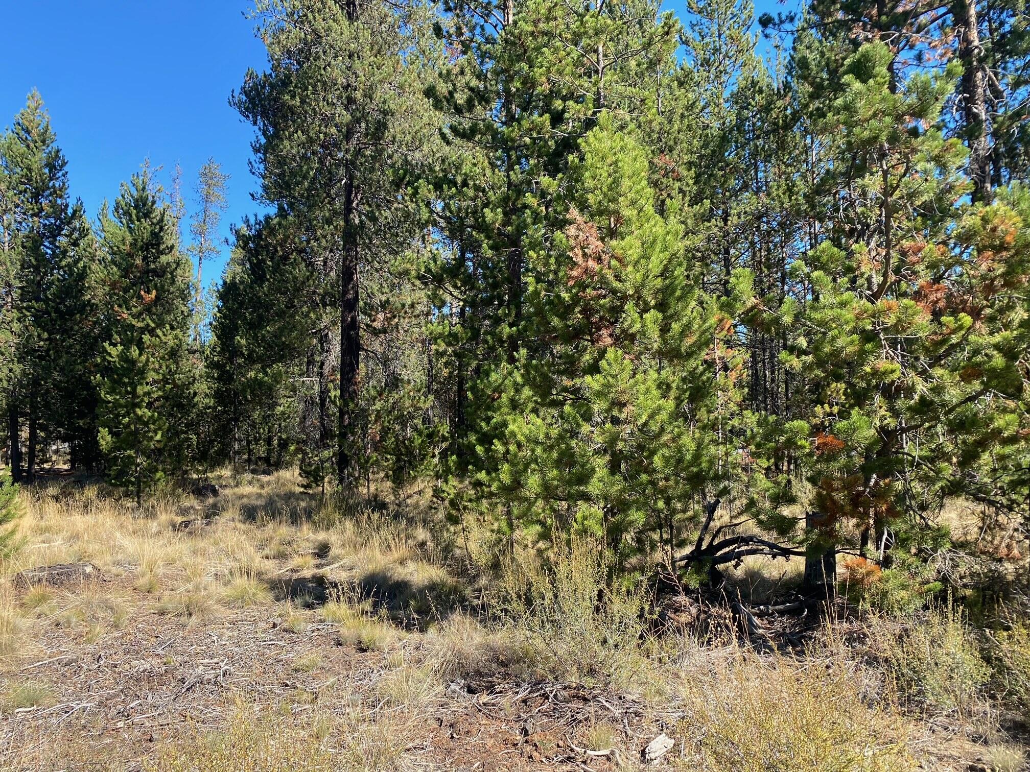 17266 Tholstrup Road Bend, OR 97707 - Photo 7 of 11 image11