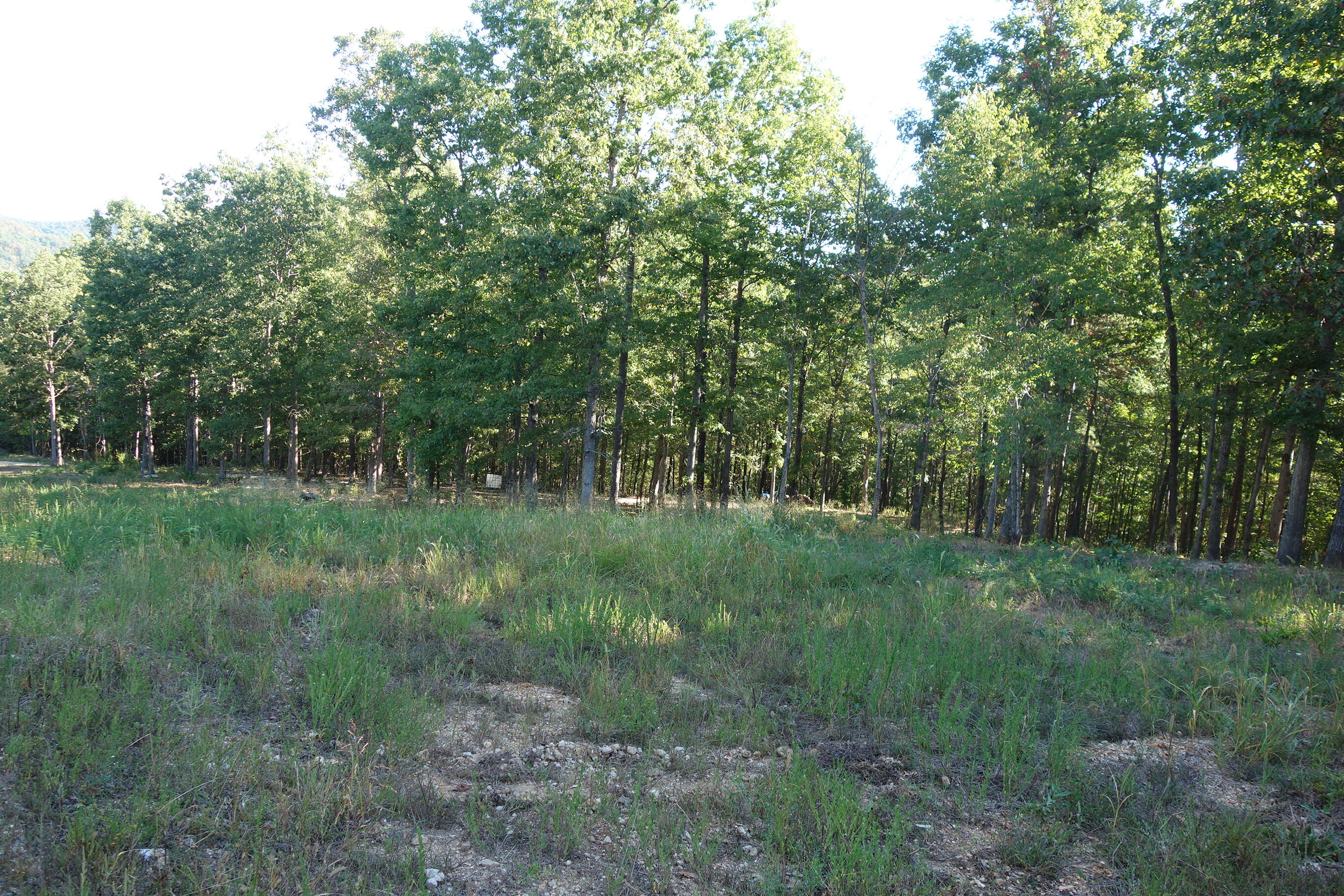 18698 Center Road Eminence, MO 65466 - Photo 14 of 25 DSC03038
