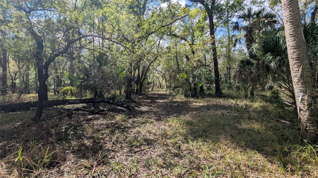 Gillette Road Zolfo Springs, FL 33890 - Photo 15 of 86 Gallery Image 15