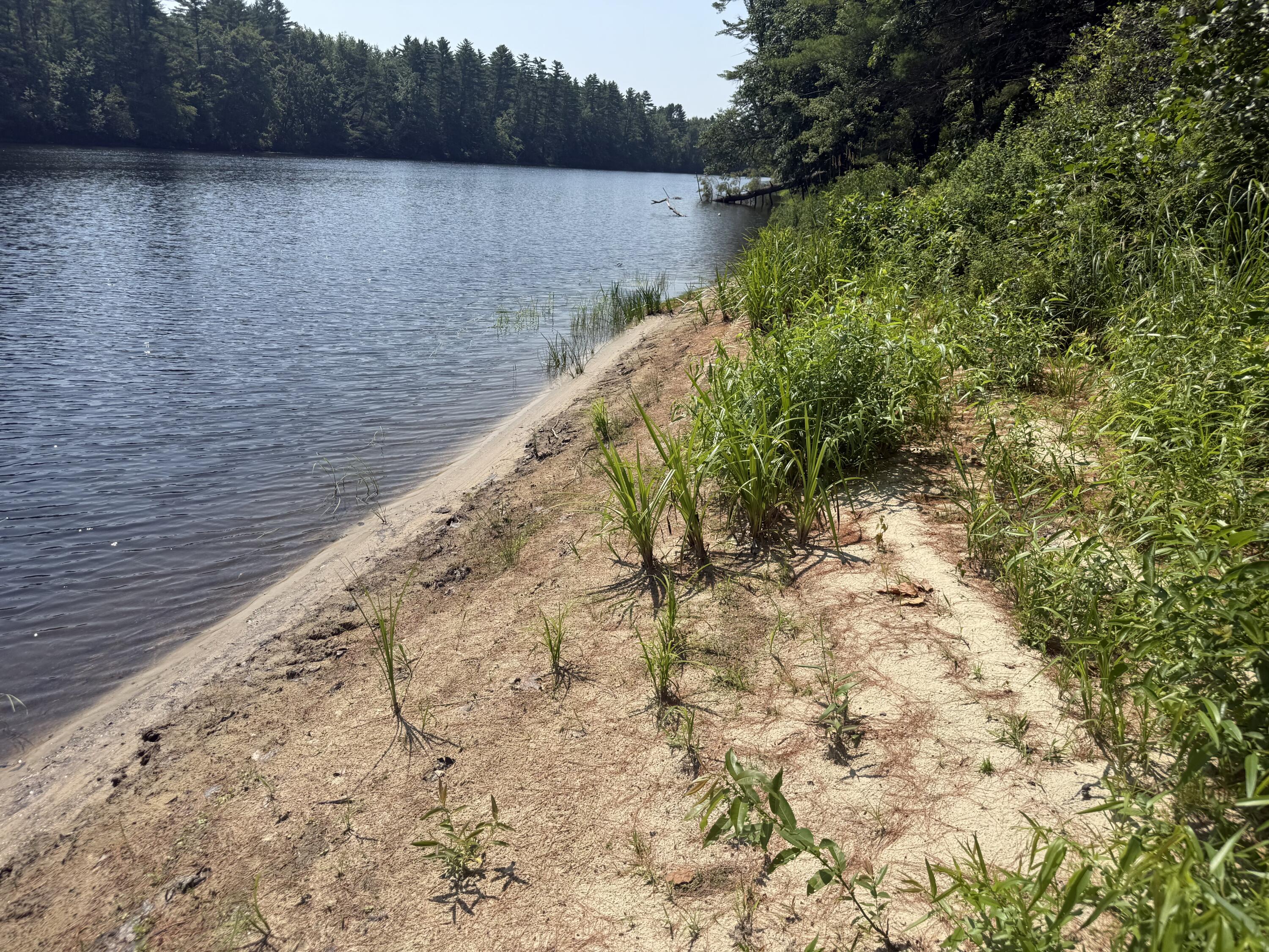 92 River Road Limington, ME 04049 - Photo 6 of 26 IMG_1432