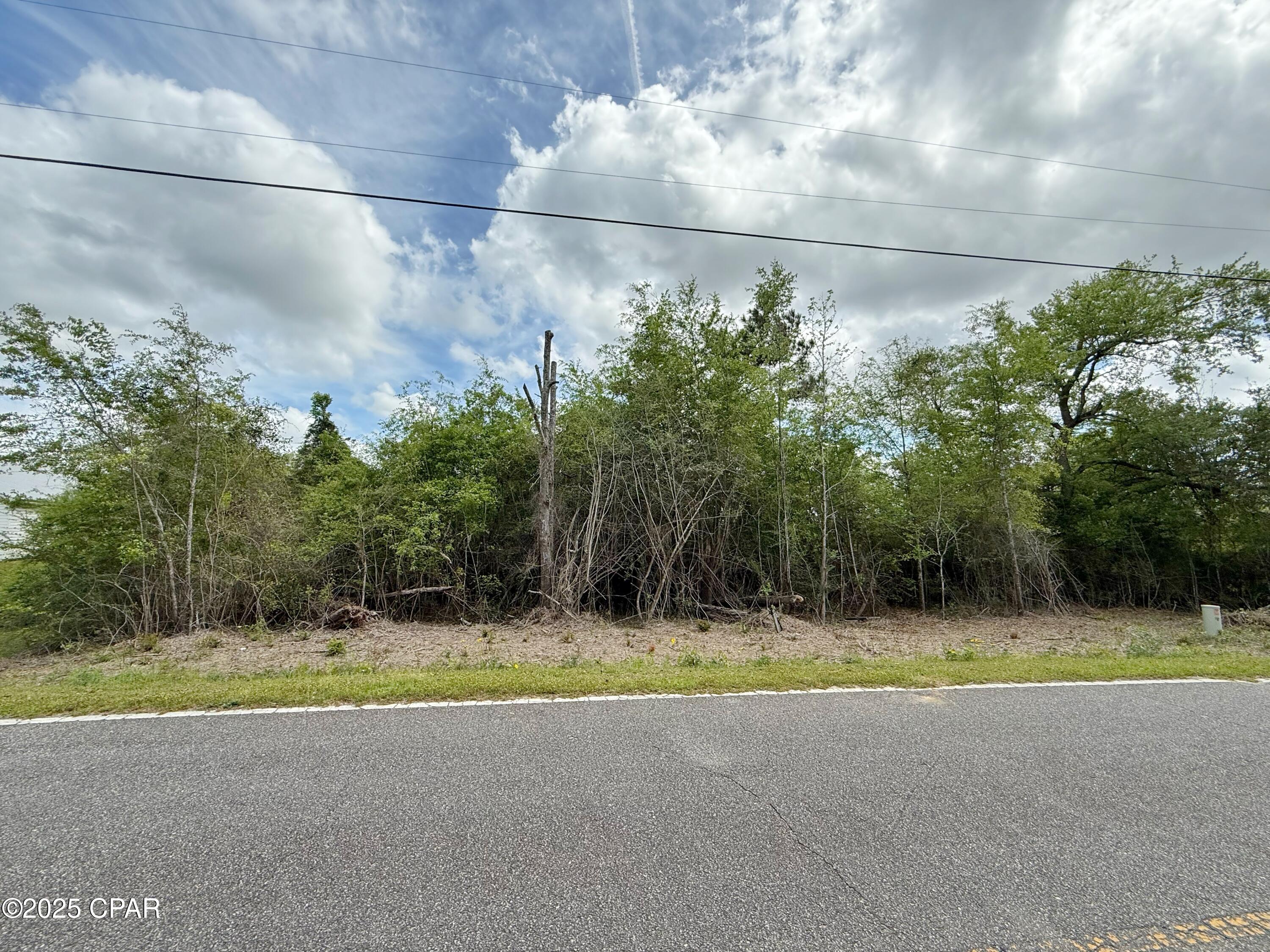 0 Mashburn Road Marianna, FL 32448 - Photo 2 of 6